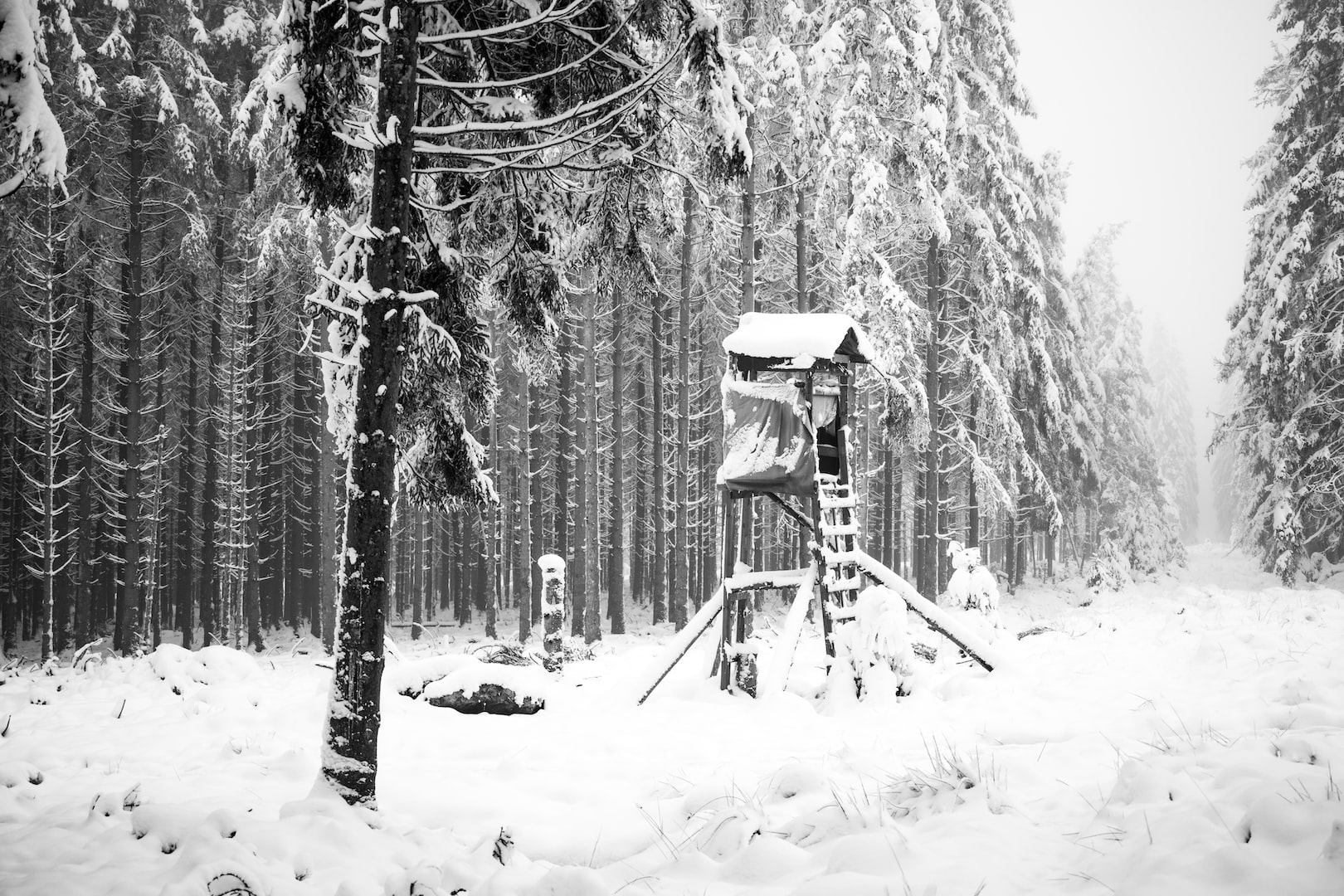 Snölandskap, skog och jakttorn